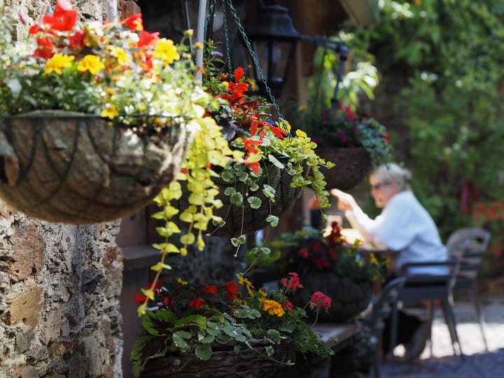 Traditional bar and beer garden